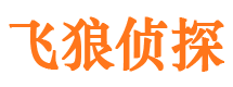 西吉市侦探调查公司